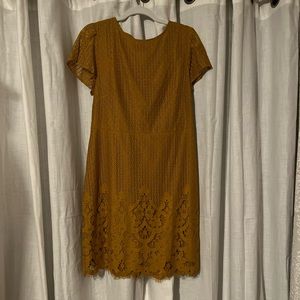 Beautiful Lace Dress